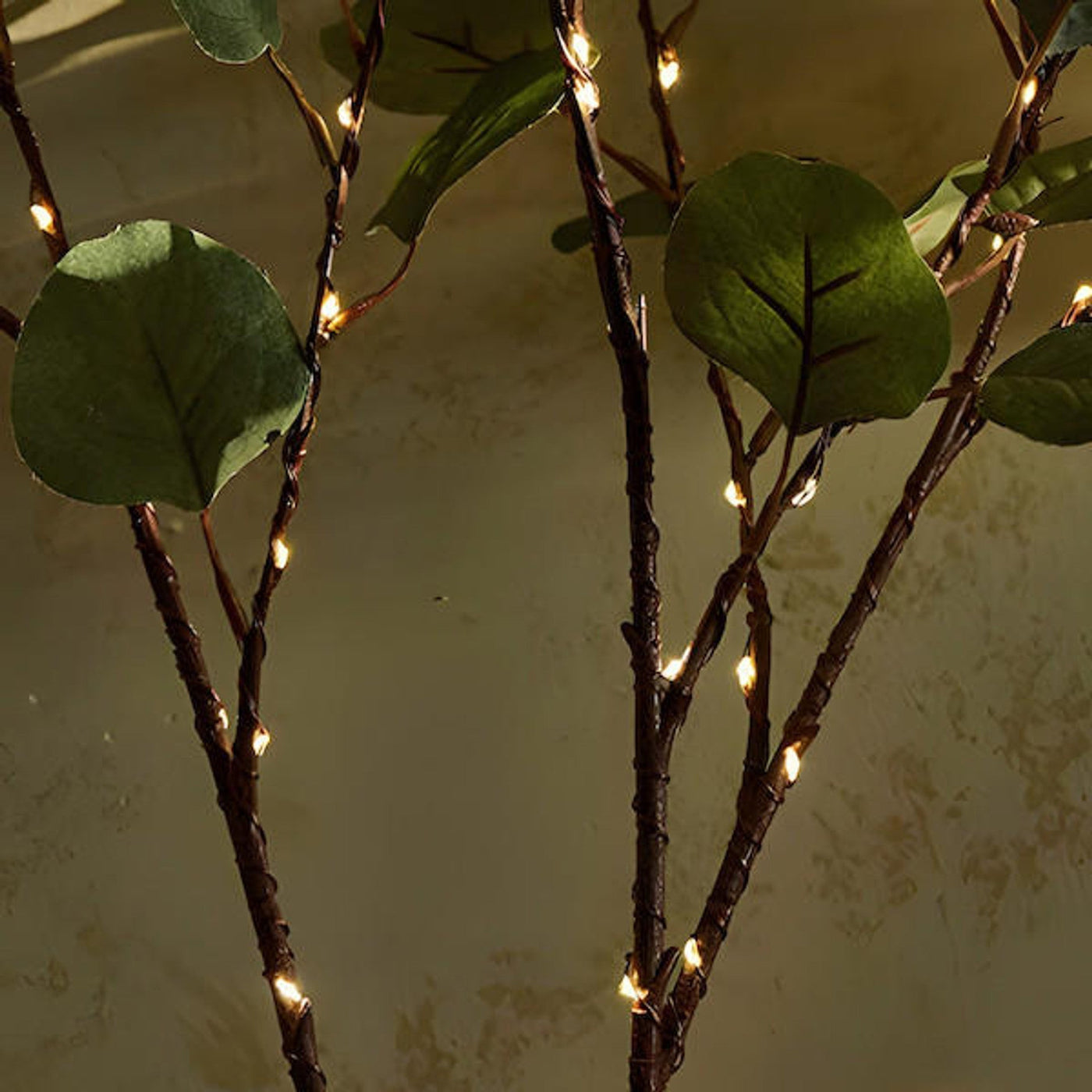 BotaniGlow