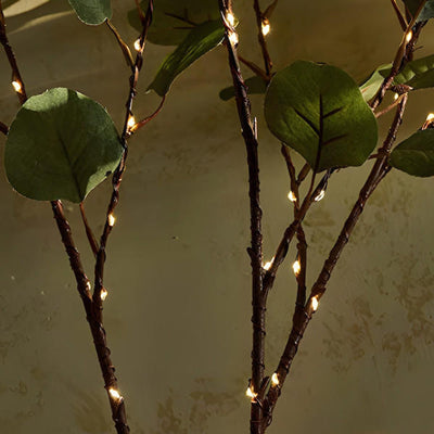 BotaniGlow